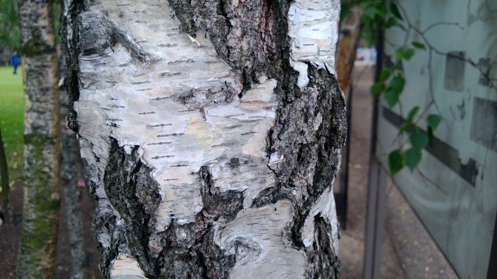 lumia-925-920-camera-test-detail-main