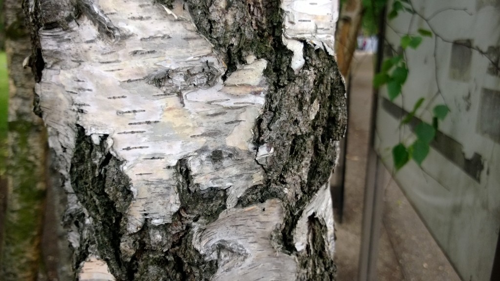 lumia-925-camera-test-detail-main